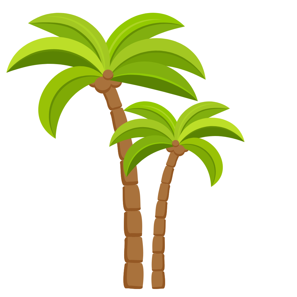 Dessin palmiers pour thème jungle des structures gonflables